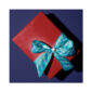 Gift package ribbon - Image 4